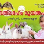 ഗാര്‍ഗി ഫാസിനൊയുടെ വിജയത്തിളക്കം;  സ്ത്രീ സമൂഹത്തിന്റെ സ്വര്‍ണത്തിളക്കം