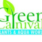 Business Consulting + Marketing + Branding = TARX Solutions