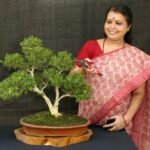 പാര്‍ലക് റിസോര്‍ട്ട്; കേരളത്തിന്റെ ഗ്രാമീണ ഭംഗിയില്‍ മറഞ്ഞിരിക്കുന്ന പറുദീസ