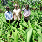 സ്ത്രീകളുടെ ഫിറ്റ്‌നസ് വീട്ടില്‍ സുരക്ഷിതമാക്കാന്‍, വ്യത്യസ്ത വഴിയിലൂടെ 12 വര്‍ഷം